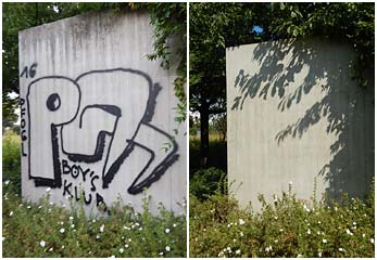 Profi für Grafittientferung und Schutzbeschichtung im Rhein-Main-Gebiet